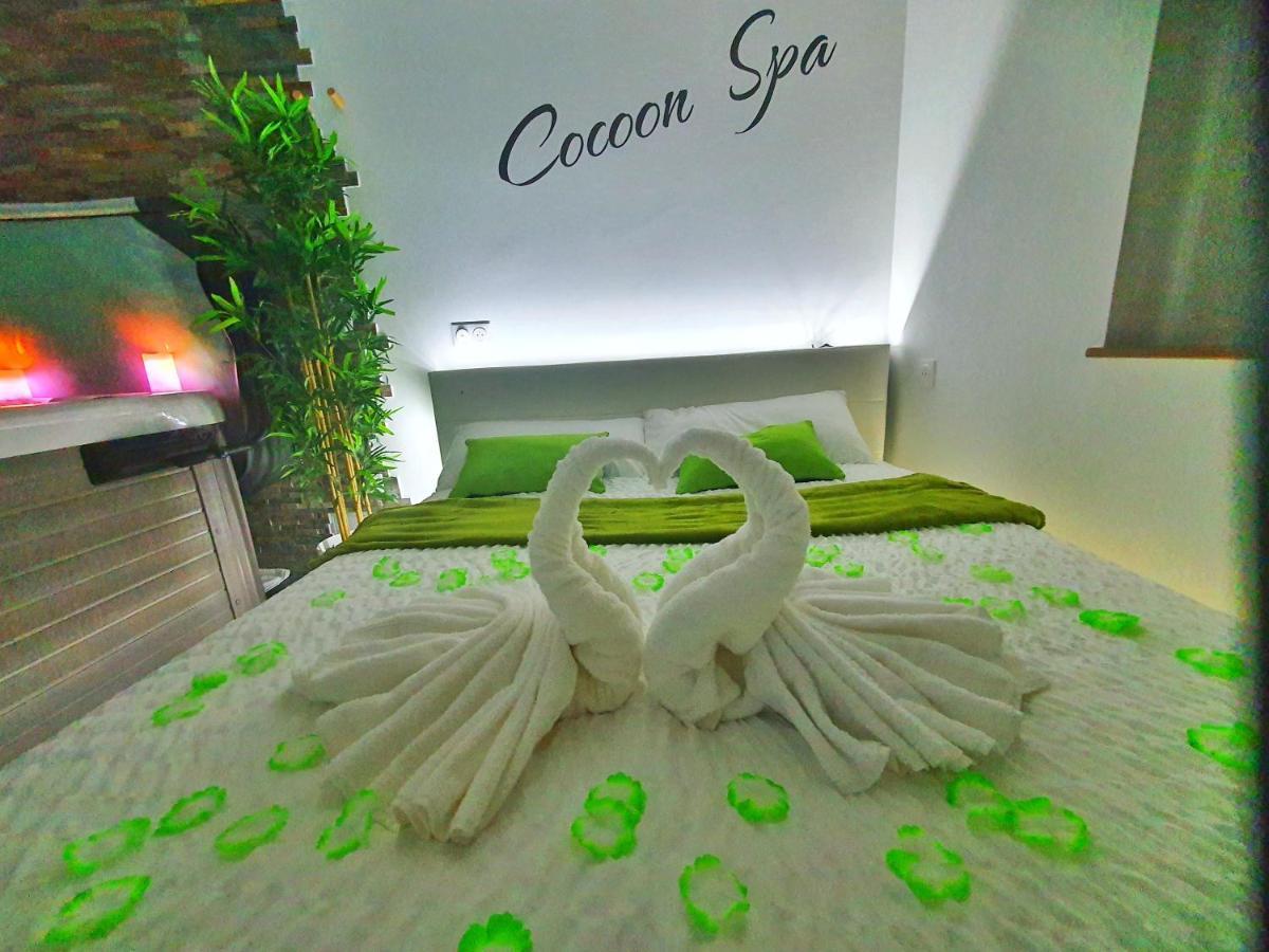 -GITE COCOON SPA-JACUZZI-JARDIN-PARKING Privé-CLIMATISATION Holtzwihr Exteriér fotografie